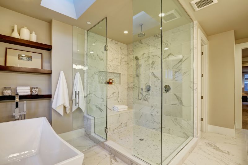 Sleek Shower Enclosure